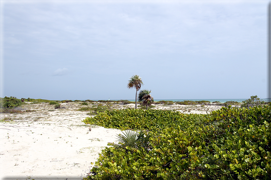 foto Spiagge a Cuba